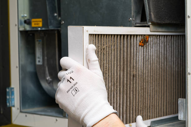 Best Local Air Duct Cleaning Services  in Maltby, WA